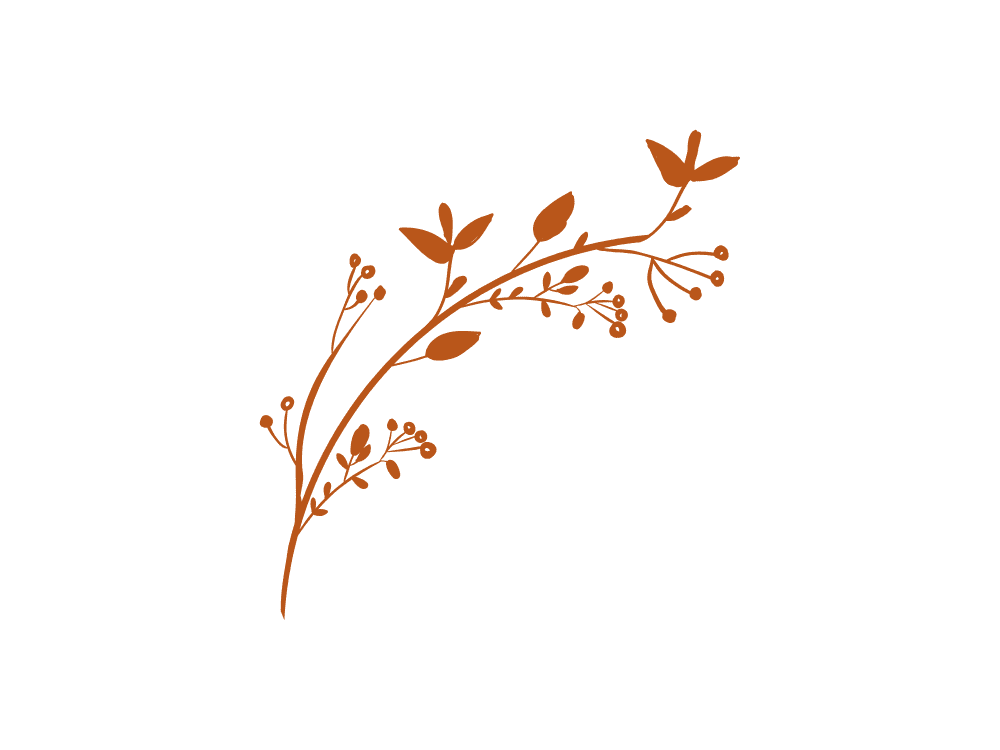 Red floral branch with small leaves and berries on a transparent background.