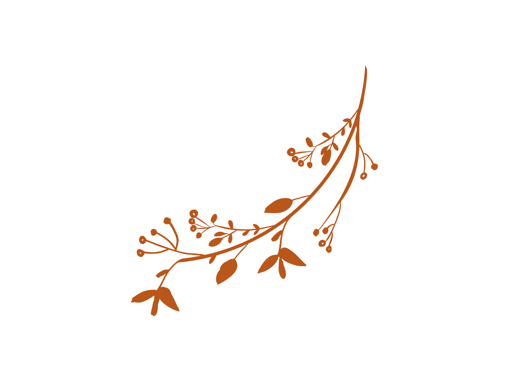 Orange botanical illustration of a slender branch with leaves and berries.